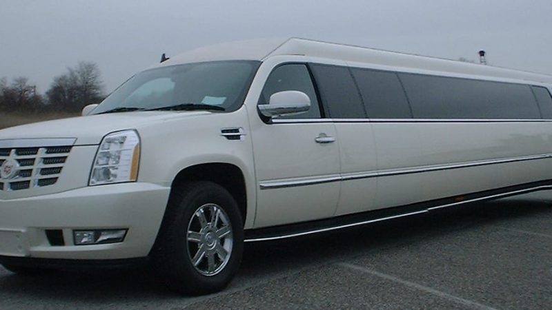 Why Floral Scents Work Best in Limo Buses